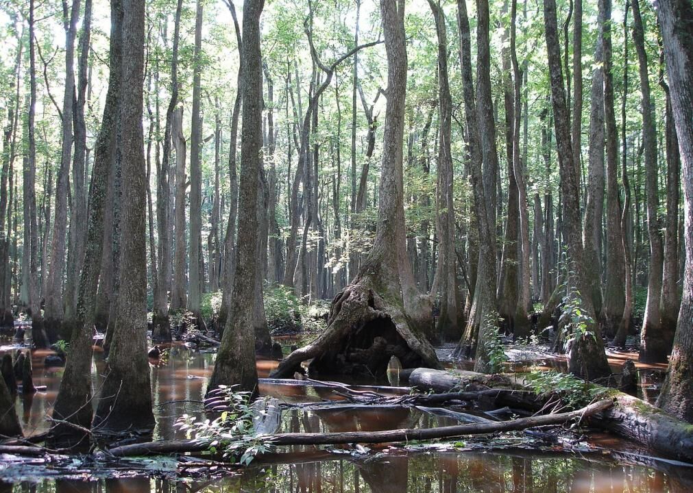 #3. Woodruff County